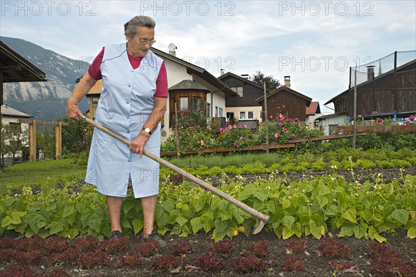 Farmer working on the farm