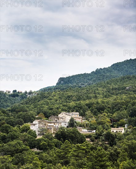 Small mountain village in the forest