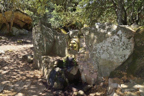 Water spouting head of a source on the Monte Ortobene