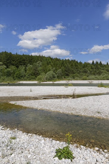 Isar river