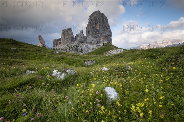 Cinque Torri with flower meadow