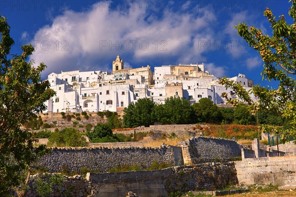 Medieval fortified hill town