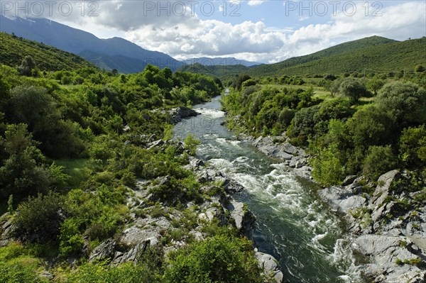 River Tavignone