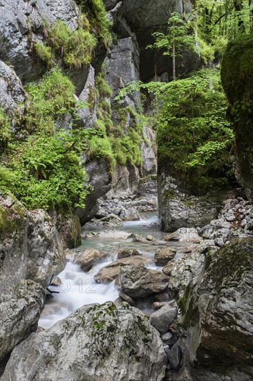 Seisenberg Gorge