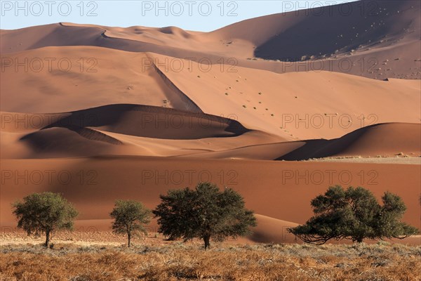 Sand dunes