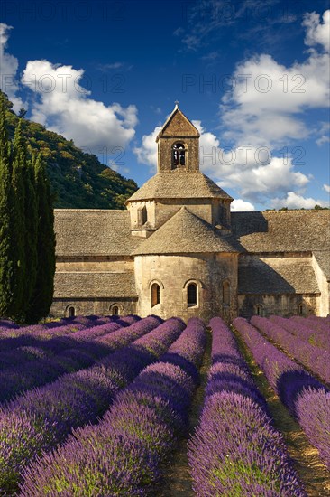 The Romanesque Cistercian Abbey of Notre Dame of Senanque