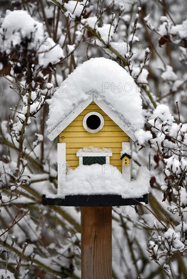 Snow-covered bird house in winter