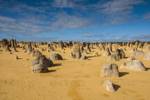 The Pinnacles limestone formations