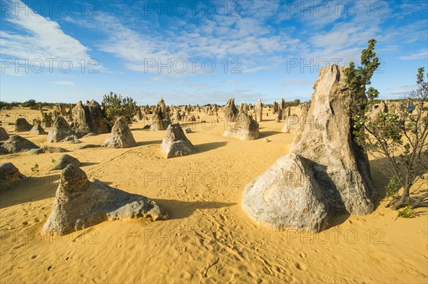 The Pinnacles limestone formations