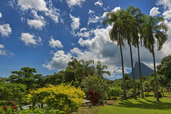 South seas island