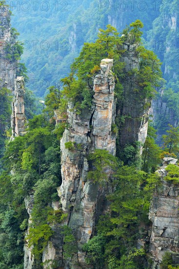 Tianzishan mountain with vertical rock columns of quartz sandstone