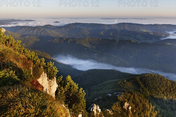 View from Alberfeldkogel mountain across lake Langbathsee in the fog