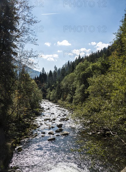 Mountain stream