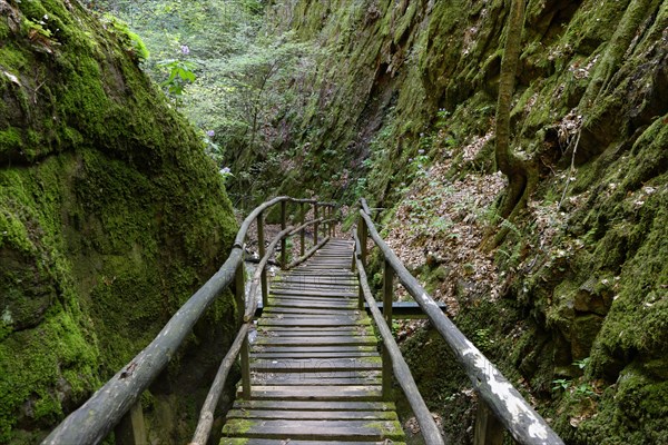 Rastenbachklamm