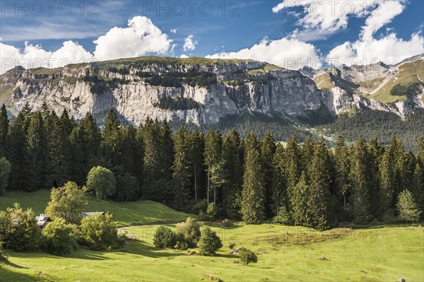 Flimserstein massif