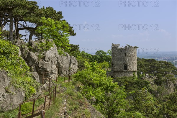 Trail and Black Tower