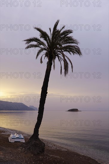 Boat and palm tree with morning sky on the beach of La Olla in Altea