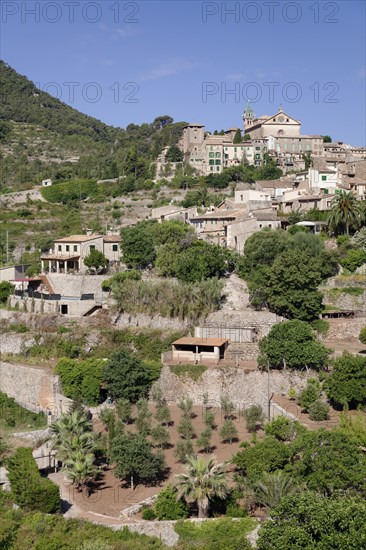 Townscape with Valldemossa Charterhouse
