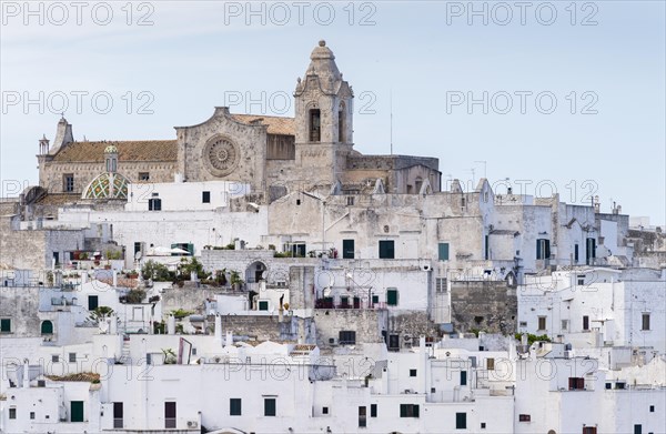 View of the town with the cathedral