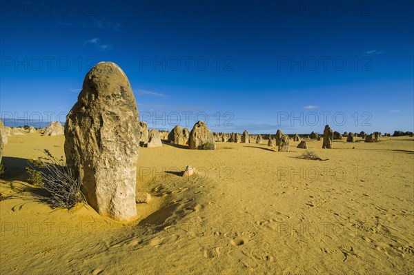 The Pinnacles limestone formations