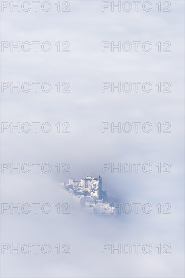 Hohensalzburg Castle in the mist