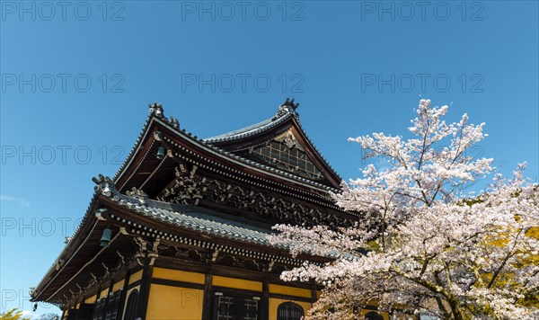 Nanzenji Temple with cherry blossoms