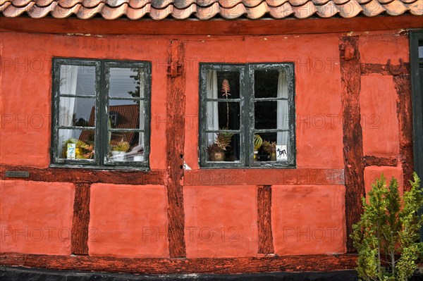 Windows