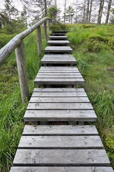 Boardwalk