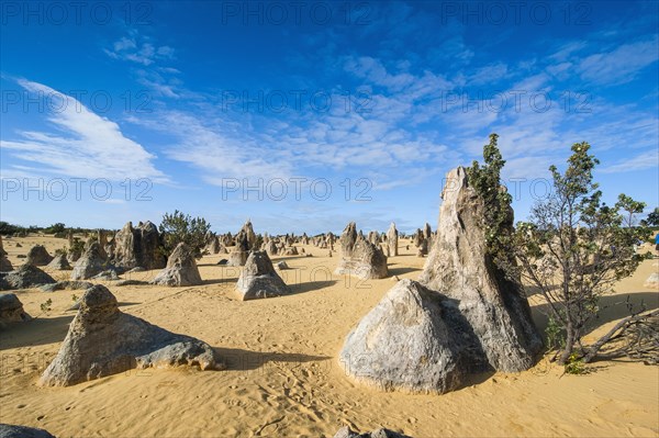 The Pinnacles limestone formations