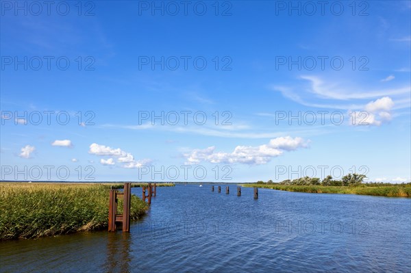 Bodstedter Bodden