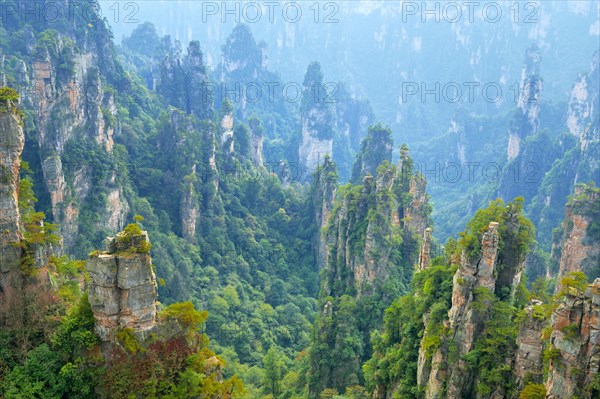 Tianzishan mountain with vertical rock columns of quartz sandstone