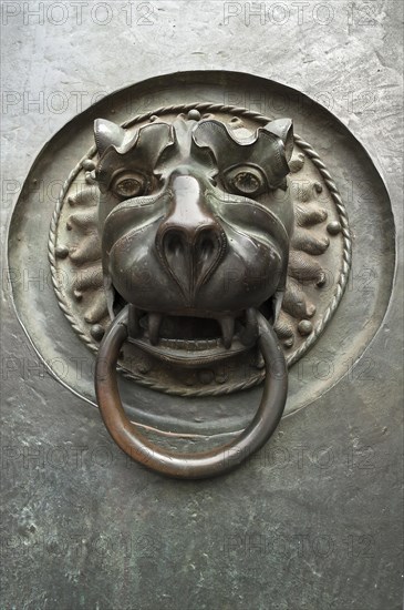 Door knocker with a lion's head