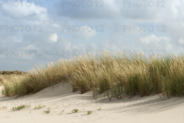 Dunes