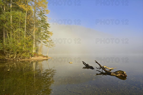 Lake Odensee
