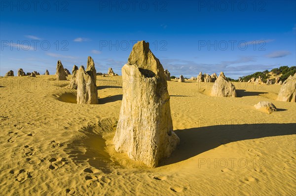 The Pinnacles limestone formations