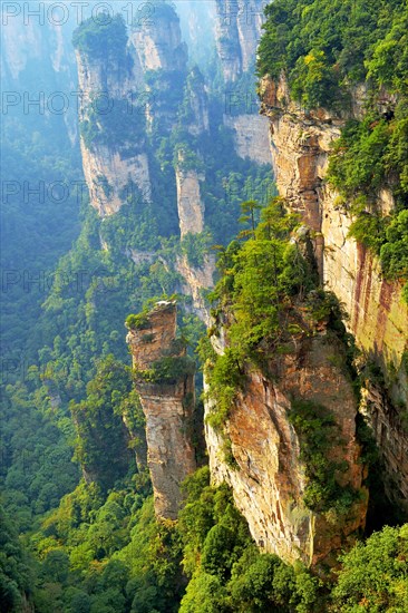 Avatar' mountains with vertical quartz sandstone rocks