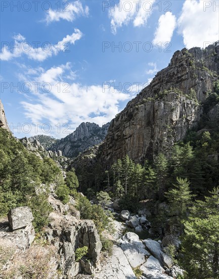 Riverbed of the Tavignano