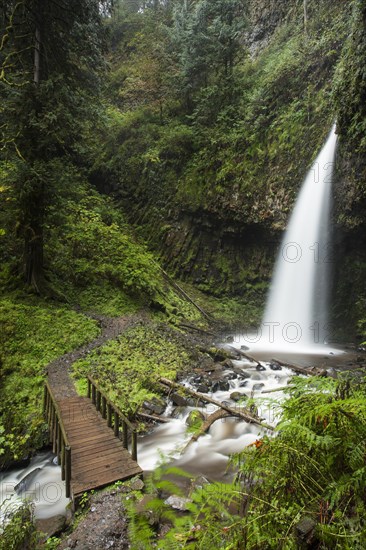Latourell Falls in the Columbia River Gorge