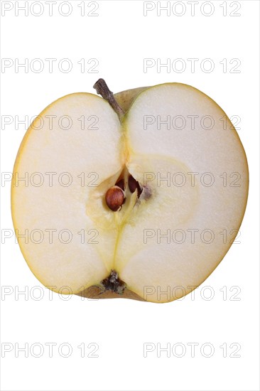 Apple variety Ananas Reinette