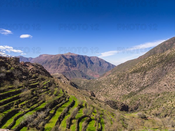 Atlas Mountains