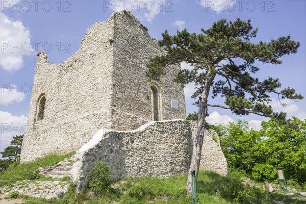 Burgruine Modling