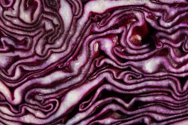 Red cabbage