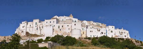 Medieval fortified hill town