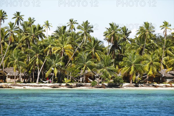 Palm beach