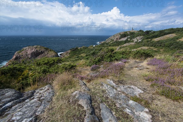 Coast