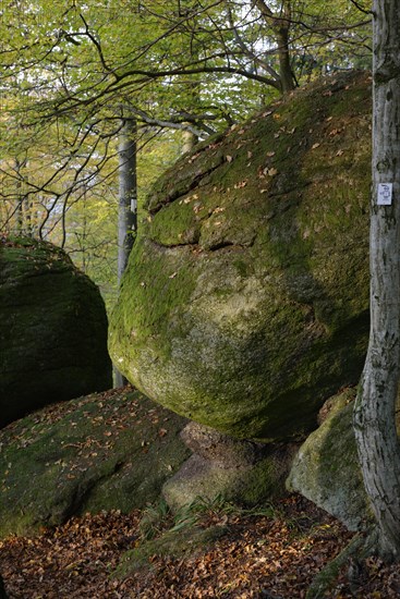 Rock park