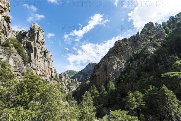 River bed and valley
