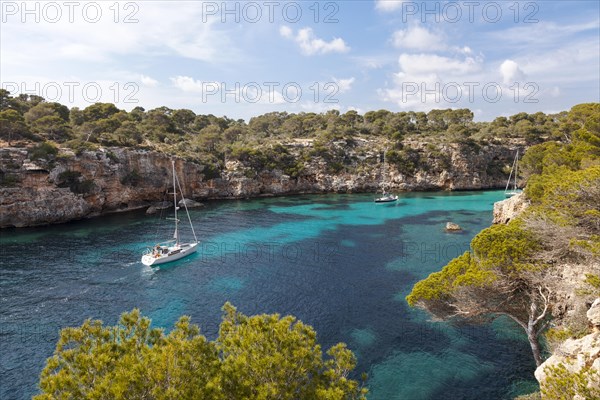 Sailing boat in the bay