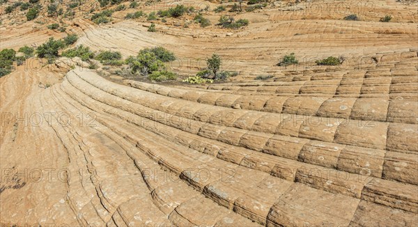 Candy Cliffs