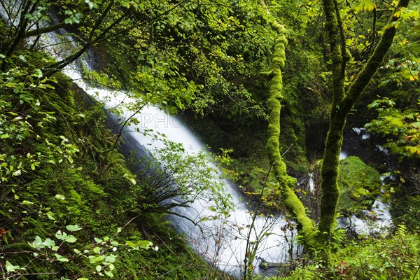Shepperd's Dell Falls